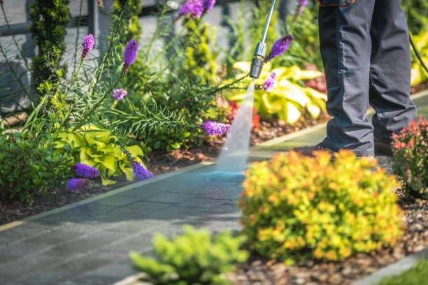Best Concrete Surface Cleaning in Hopewell, TN